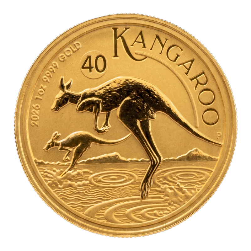 Australian Gold Kangaroo
