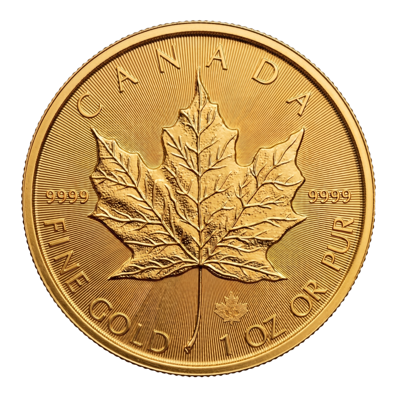 Maple Leaf
